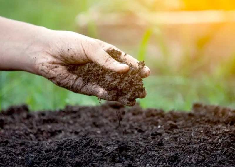 Assessment of Soil Health in Alberta & Manitoba