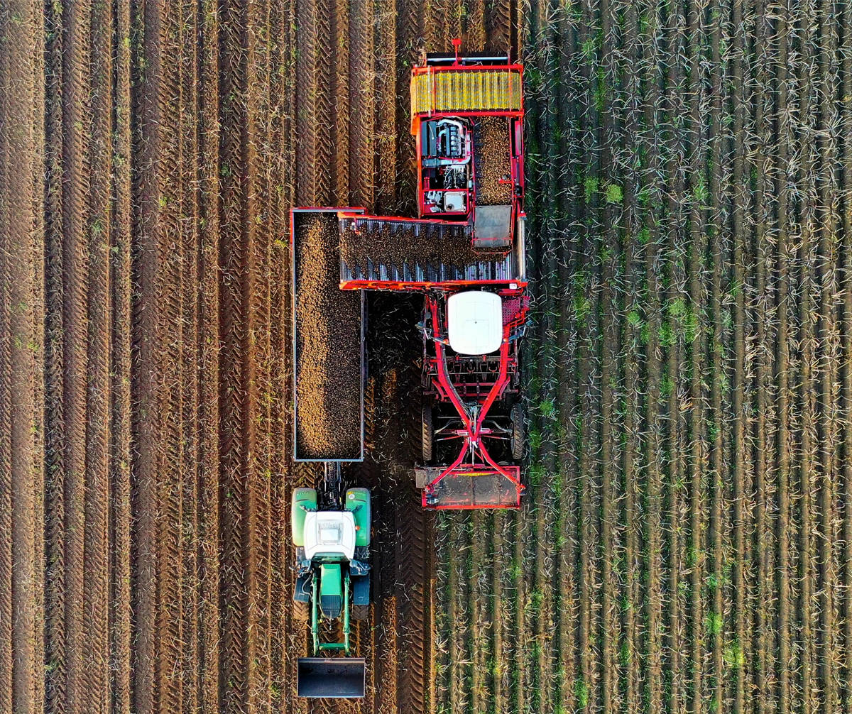 Regenerative Agriculture discusses forms of agricultural practice that actively restore soil quality, biodiversity, and water quality.