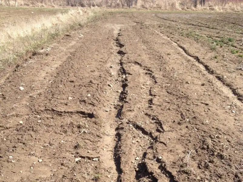 Regenerative Agriculture