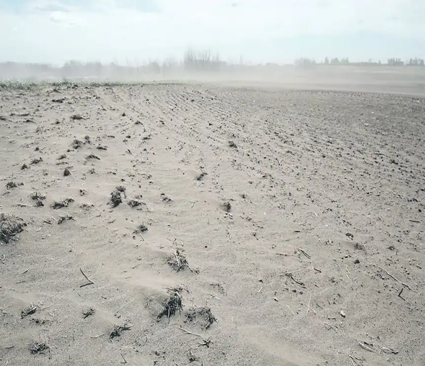 Regenerative Agriculture